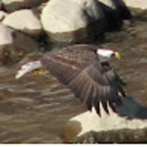 Meet your Posher, Craig